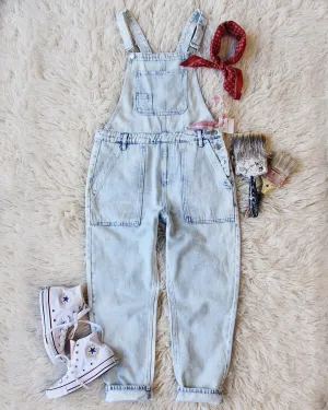 Paint By Numbers Overalls